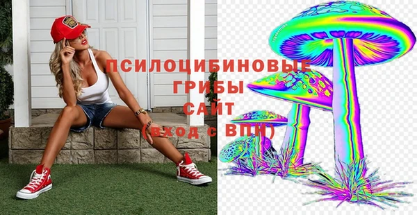 амф Алексин