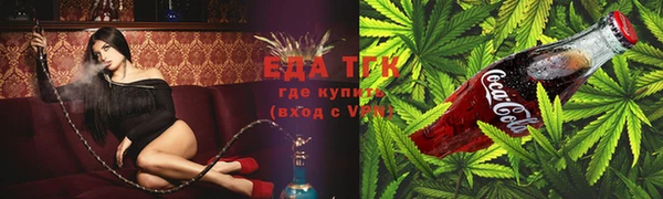 индика Алзамай