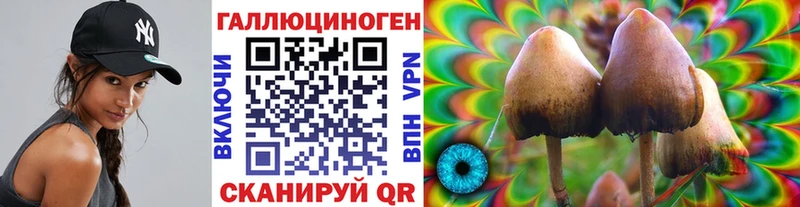 Псилоцибиновые грибы мицелий Жуков